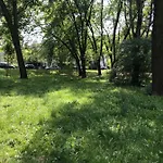 Royal Garden *