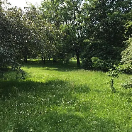 Royal Garden 公寓 华沙